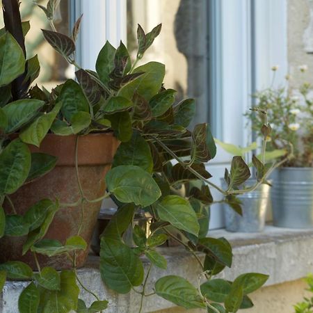 L'aveuglette Bed & Breakfast Giverny Eksteriør bilde